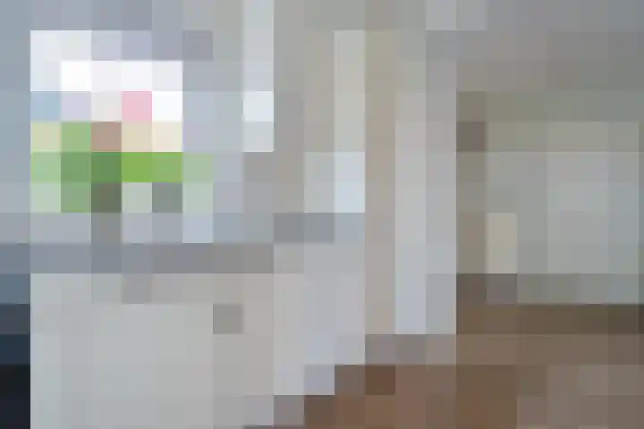 Churchilllaan 1 Staphorst thumbnail 10