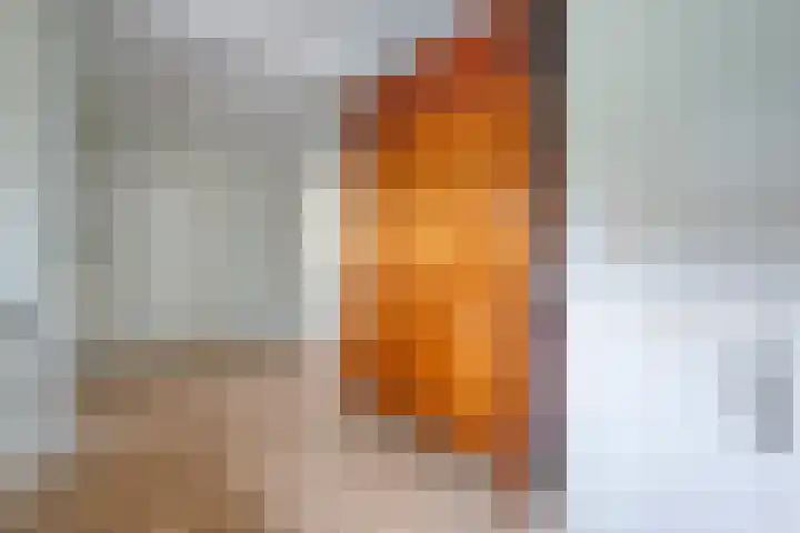 Churchilllaan 1 Staphorst thumbnail 11