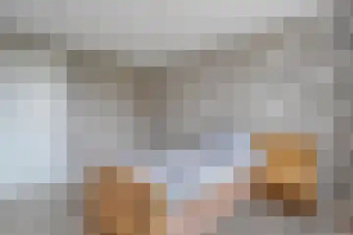 Churchilllaan 1 Staphorst thumbnail 14