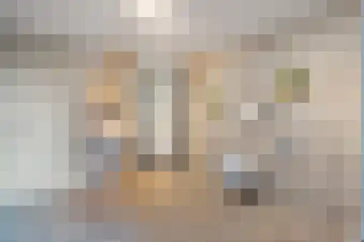 Churchilllaan 1 Staphorst thumbnail 16