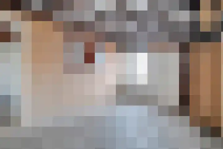 Churchilllaan 1 Staphorst thumbnail 21