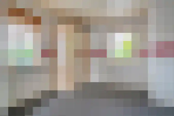 Churchilllaan 1 Staphorst thumbnail 26