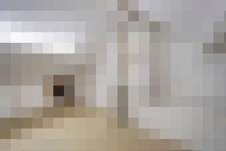 Churchilllaan 1 Staphorst thumbnail 36
