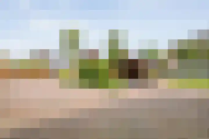 Churchilllaan 1 Staphorst thumbnail 37