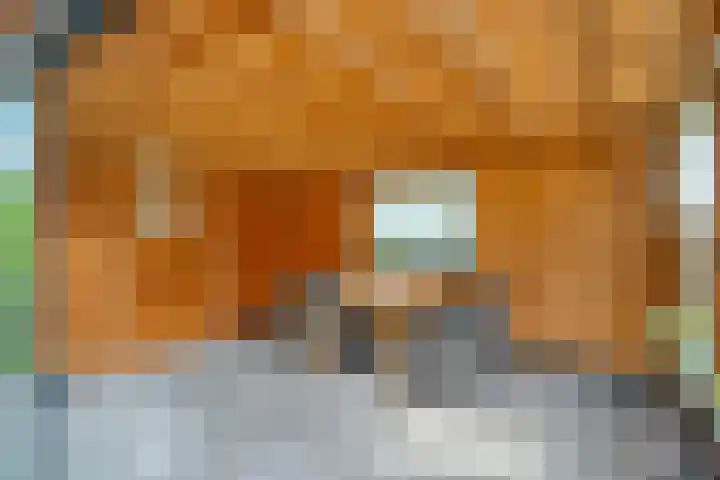 Churchilllaan 1 Staphorst thumbnail 38