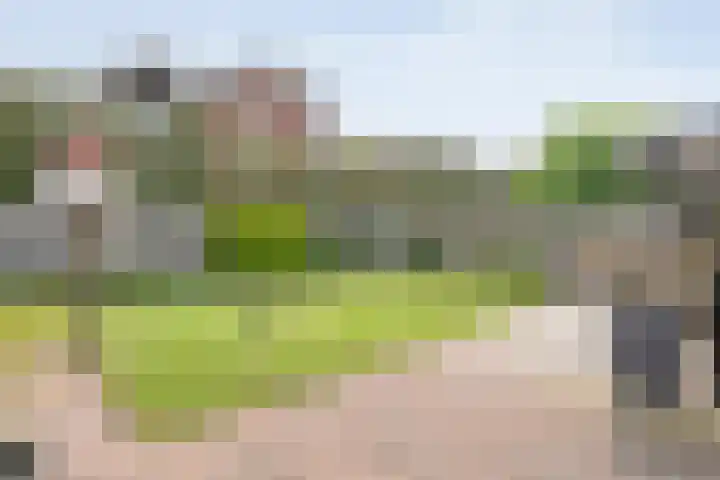 Churchilllaan 1 Staphorst thumbnail 39