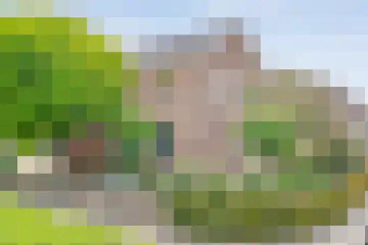 Churchilllaan 1 Staphorst thumbnail 43