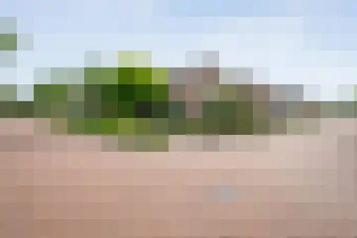 Churchilllaan 1 Staphorst thumbnail 45