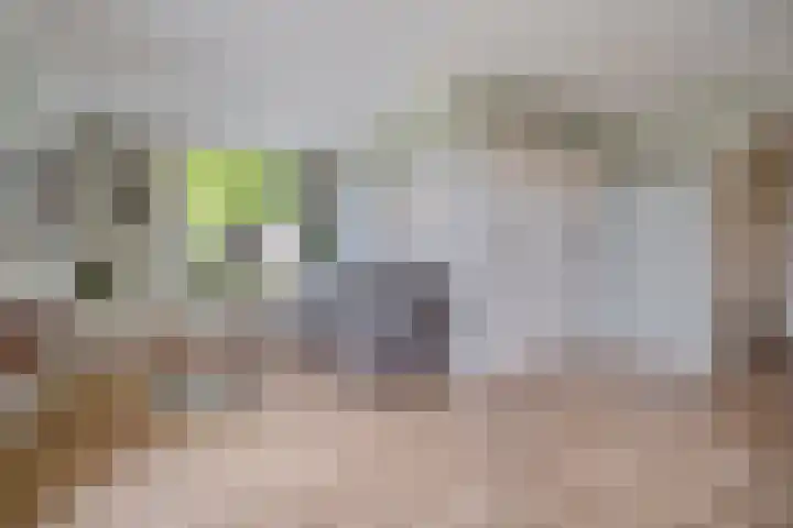 Churchilllaan 1 Staphorst thumbnail 6