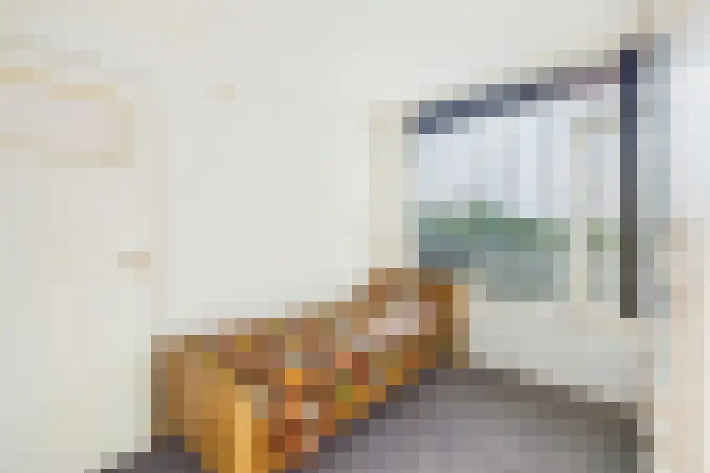 Churchilllaan 1110 Terneuzen thumbnail 16