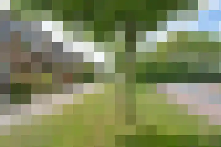 Churchilllaan 113 Nieuwkoop thumbnail 30