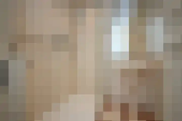 Churchilllaan 1138 Terneuzen thumbnail 12