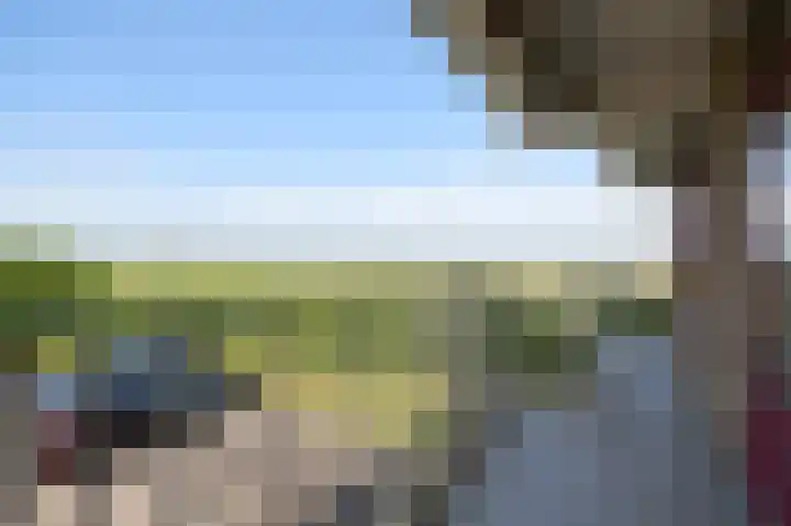 Churchilllaan 1138 Terneuzen thumbnail 13