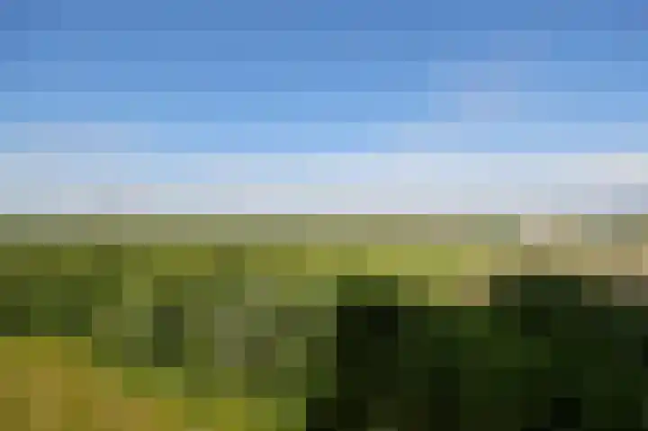 Churchilllaan 1138 Terneuzen thumbnail 4