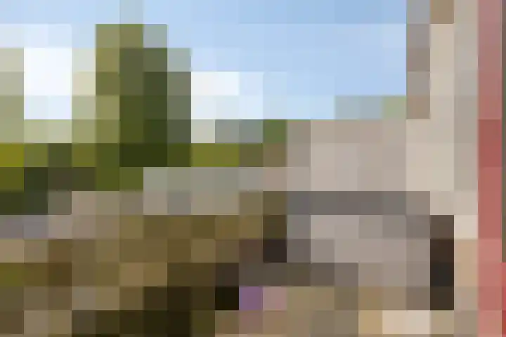 Churchilllaan 115 's-Hertogenbosch thumbnail 6