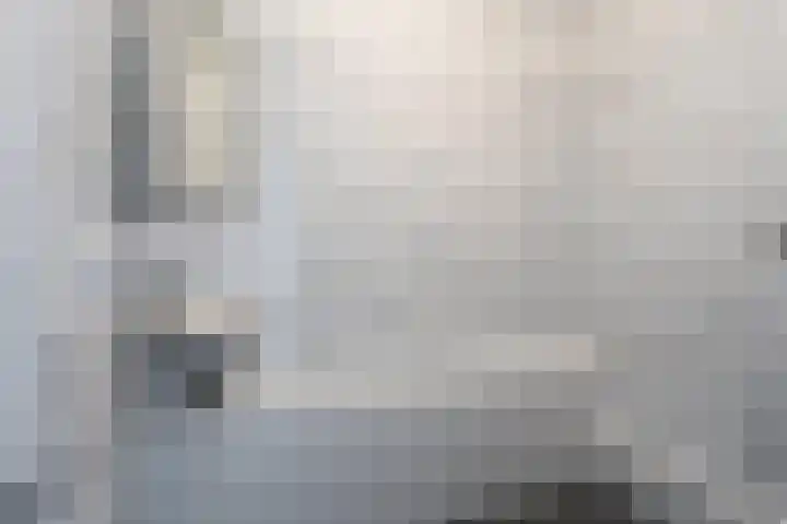 Churchilllaan 1166 Terneuzen thumbnail 13