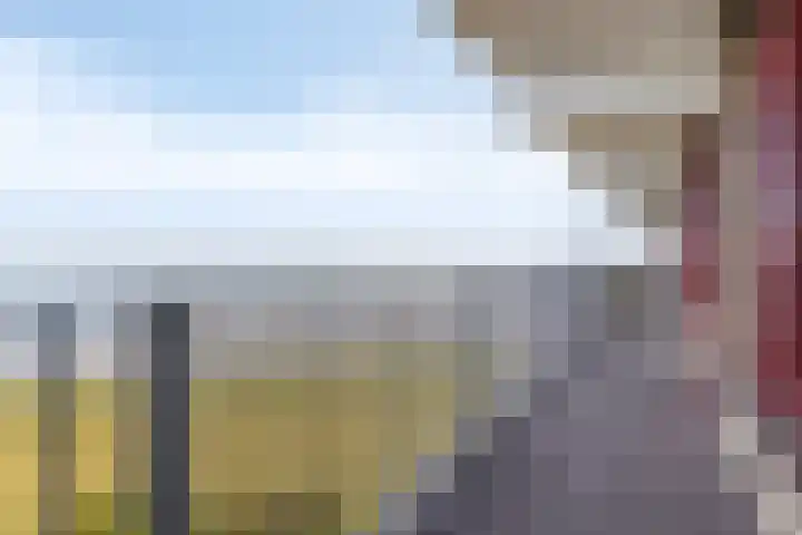 Churchilllaan 1166 Terneuzen thumbnail 19