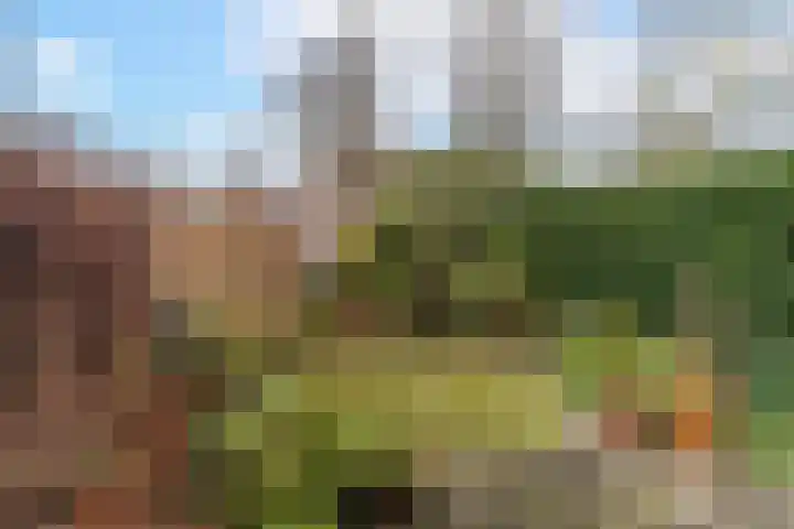 Churchilllaan 13 Delft thumbnail 21