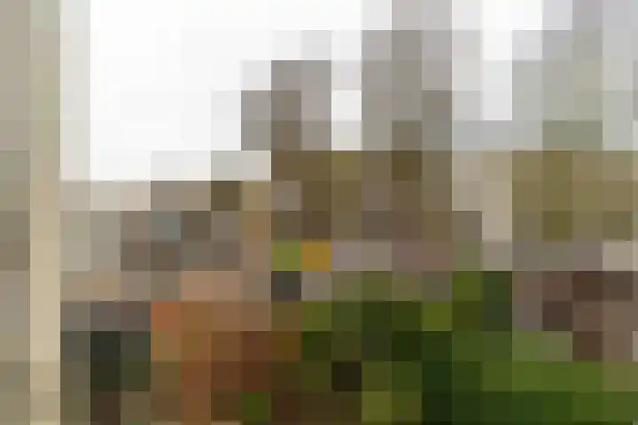 Churchilllaan 13 Delft thumbnail 29
