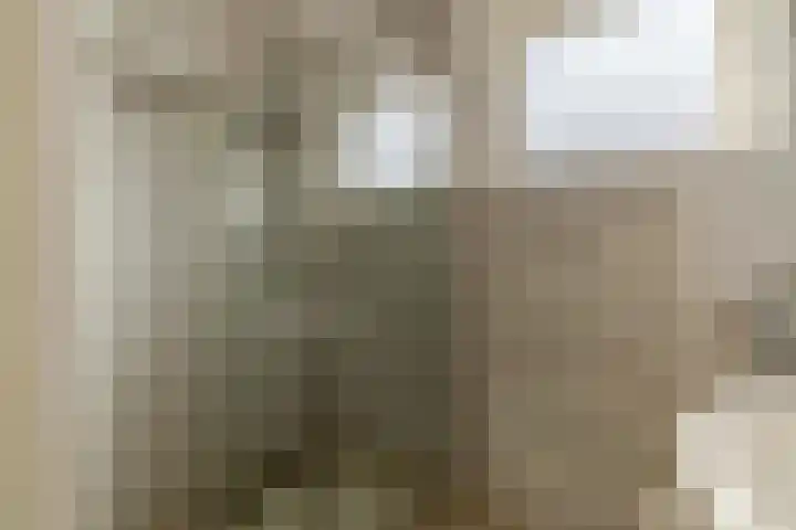 Churchilllaan 13 Delft thumbnail 30