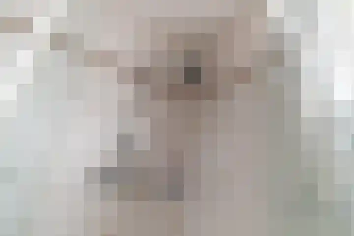 Churchilllaan 13 Delft thumbnail 33