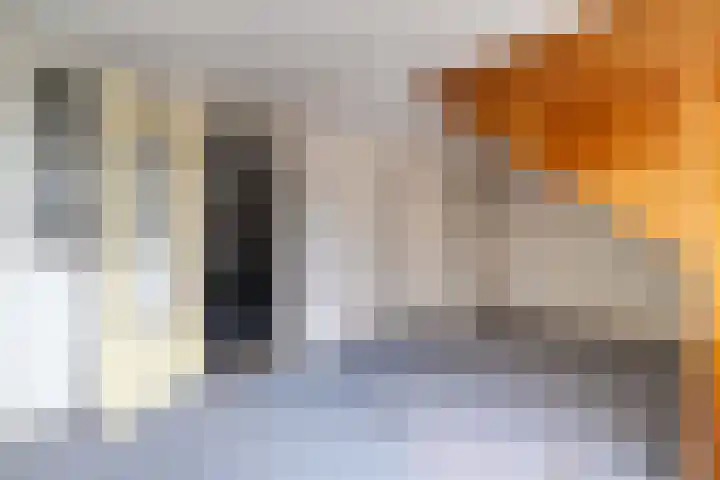 Churchilllaan 13 Delft thumbnail 37