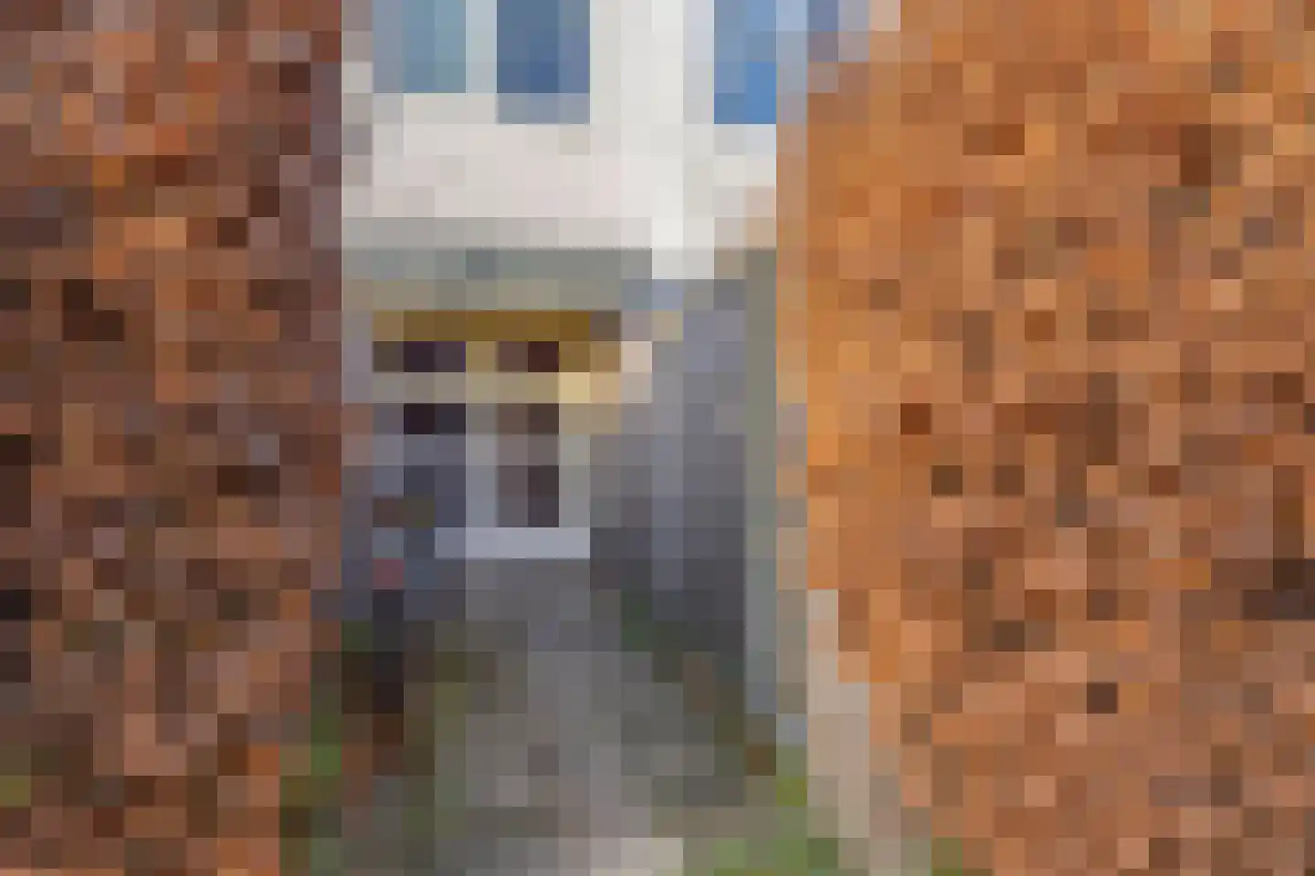 Churchilllaan 133 A 's-Hertogenbosch thumbnail 26