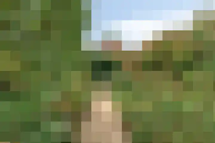 Churchilllaan 16 Alphen aan den Rijn thumbnail 23
