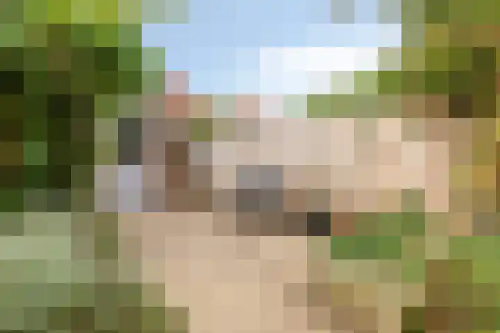 Churchilllaan 16 Alphen aan den Rijn thumbnail 24