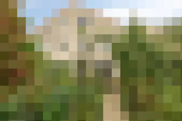 Churchilllaan 16 Alphen aan den Rijn thumbnail 25