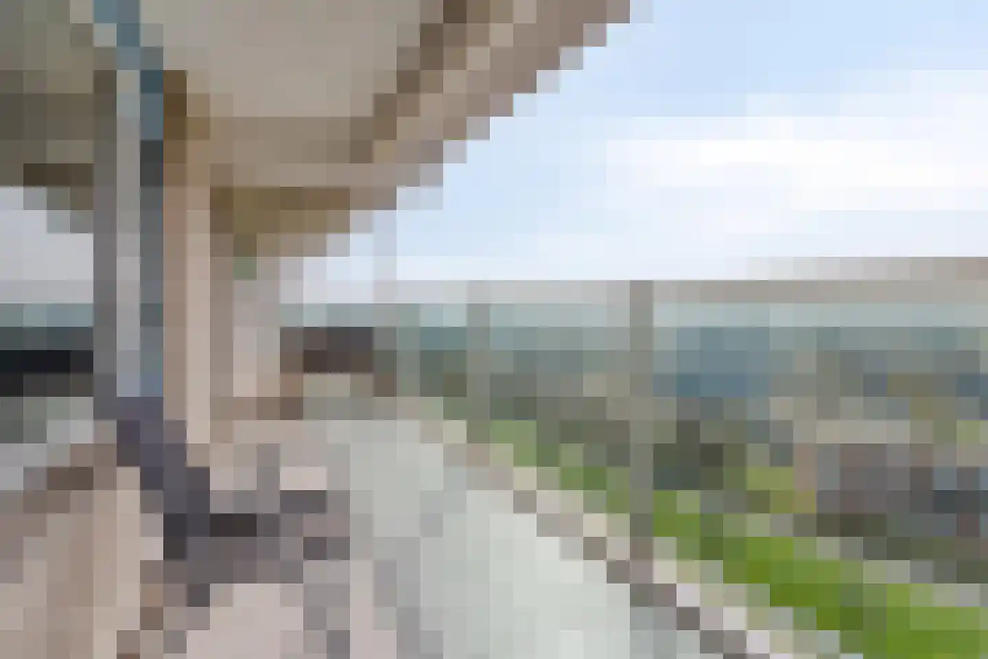 Churchilllaan 204 Terneuzen thumbnail 20
