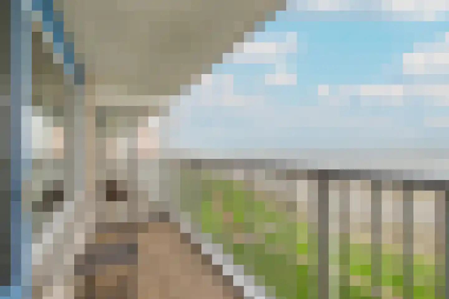 Churchilllaan 208 Terneuzen thumbnail 17