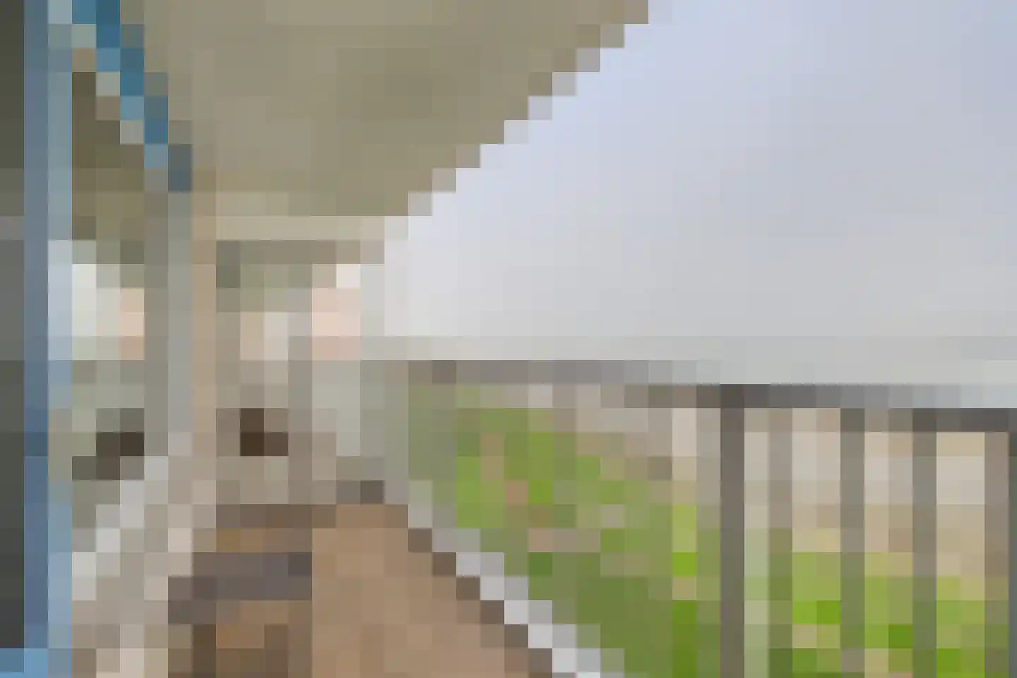 Churchilllaan 208 Terneuzen thumbnail 17