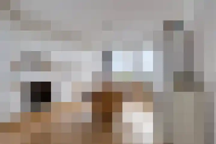 Churchilllaan 286 Terneuzen thumbnail 11