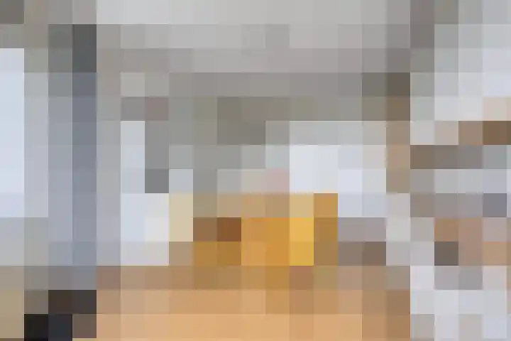 Churchilllaan 286 Terneuzen thumbnail 12
