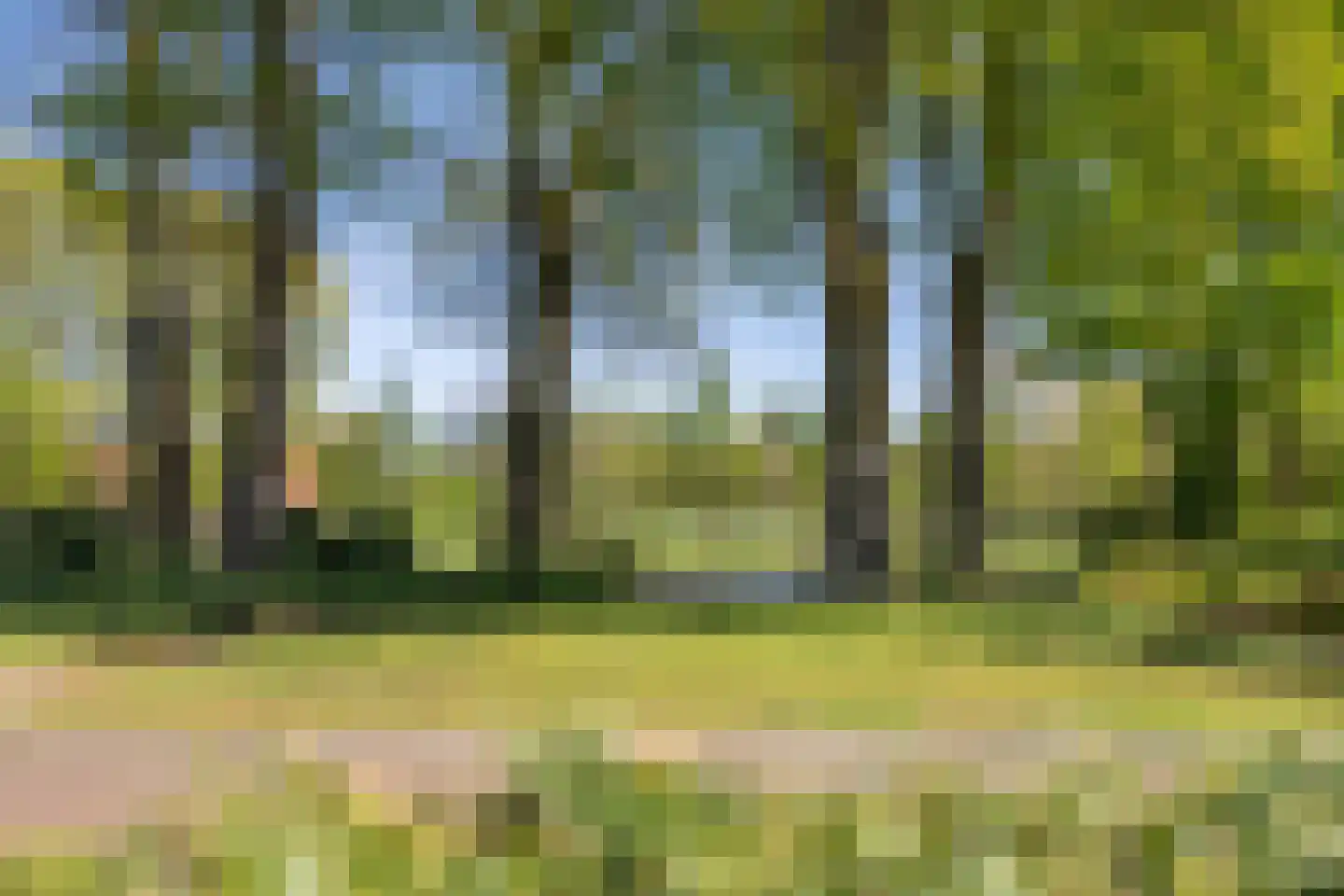 Churchilllaan 29 Coevorden thumbnail 22