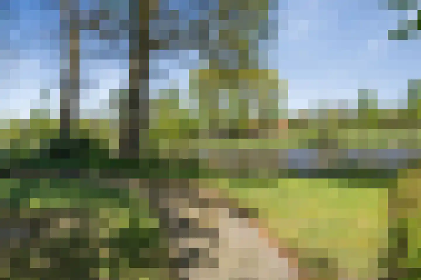 Churchilllaan 29 Coevorden thumbnail 28
