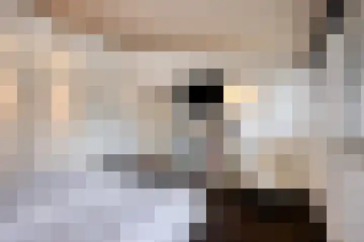 Churchilllaan 3 Rosmalen thumbnail 41