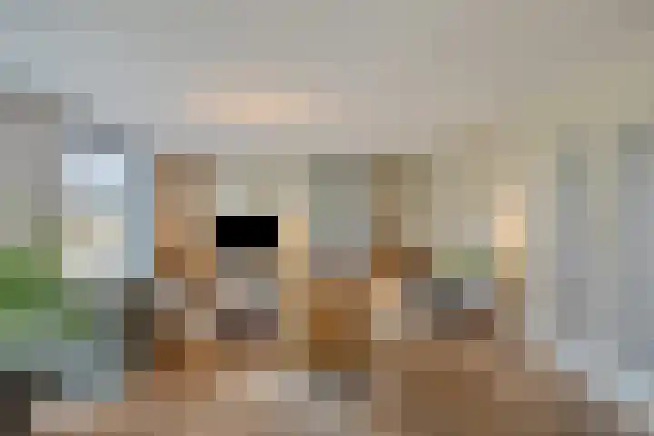 Churchilllaan 3 Rosmalen thumbnail 5