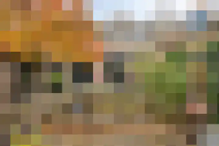 Churchilllaan 3 Rosmalen thumbnail 57
