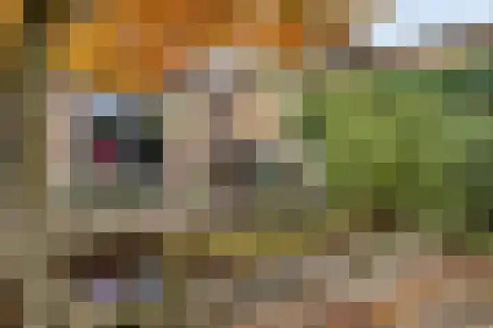 Churchilllaan 3 Rosmalen thumbnail 62
