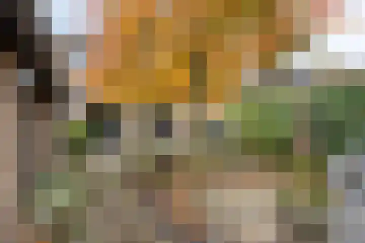 Churchilllaan 3 Rosmalen thumbnail 63