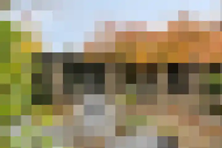 Churchilllaan 3 Rosmalen thumbnail 64
