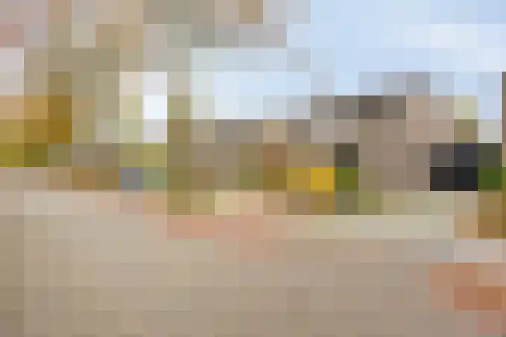 Churchilllaan 3 Rosmalen thumbnail 65