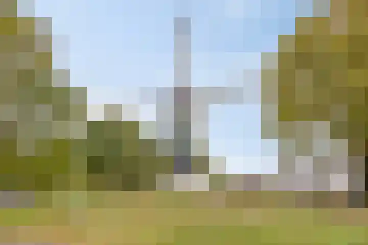 Churchilllaan 3 Rosmalen thumbnail 70