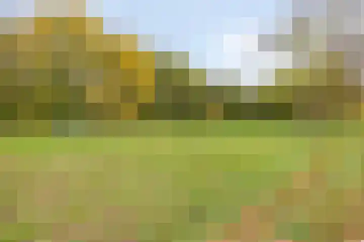 Churchilllaan 3 Rosmalen thumbnail 72