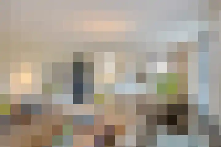 Churchilllaan 3 Rosmalen thumbnail 8