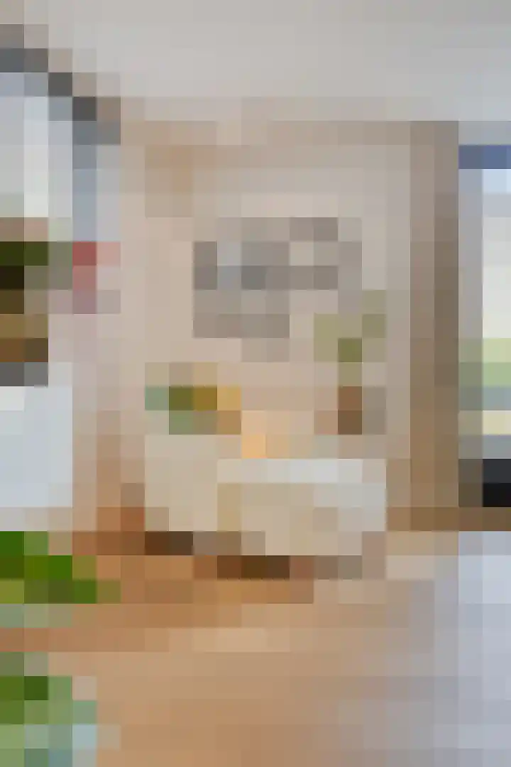 Churchilllaan 3 Rosmalen thumbnail 9