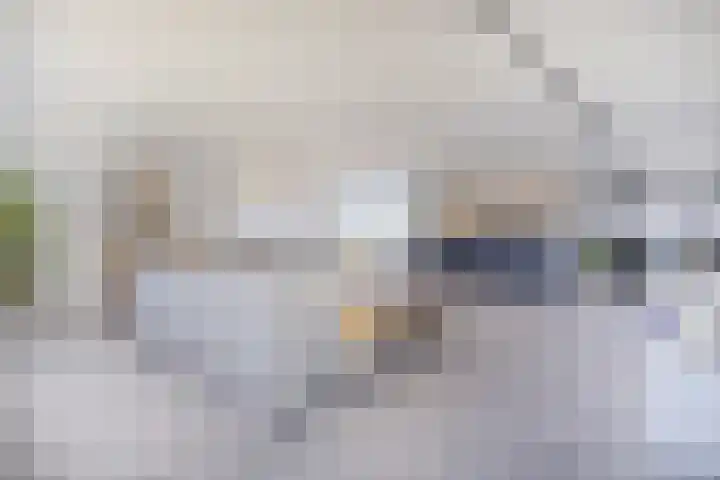 Churchilllaan 342 Terneuzen thumbnail 10
