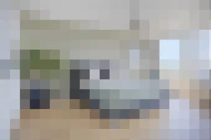 Churchilllaan 342 Terneuzen thumbnail 25